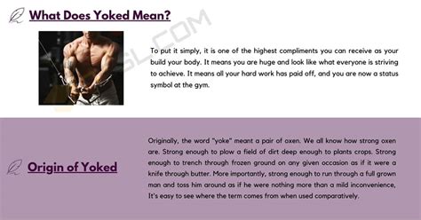 yolked meaning gym|yoke definition slang.